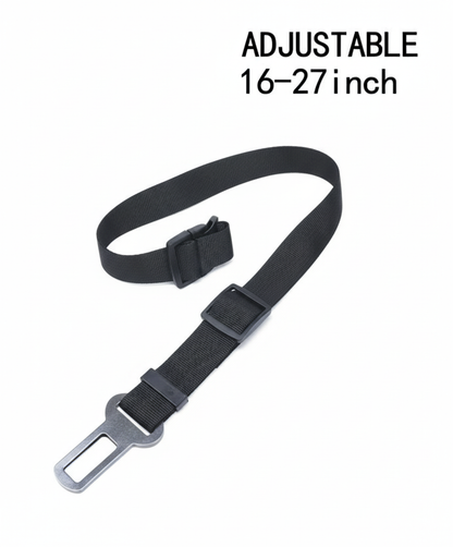 Dog safety seatbelt on white background